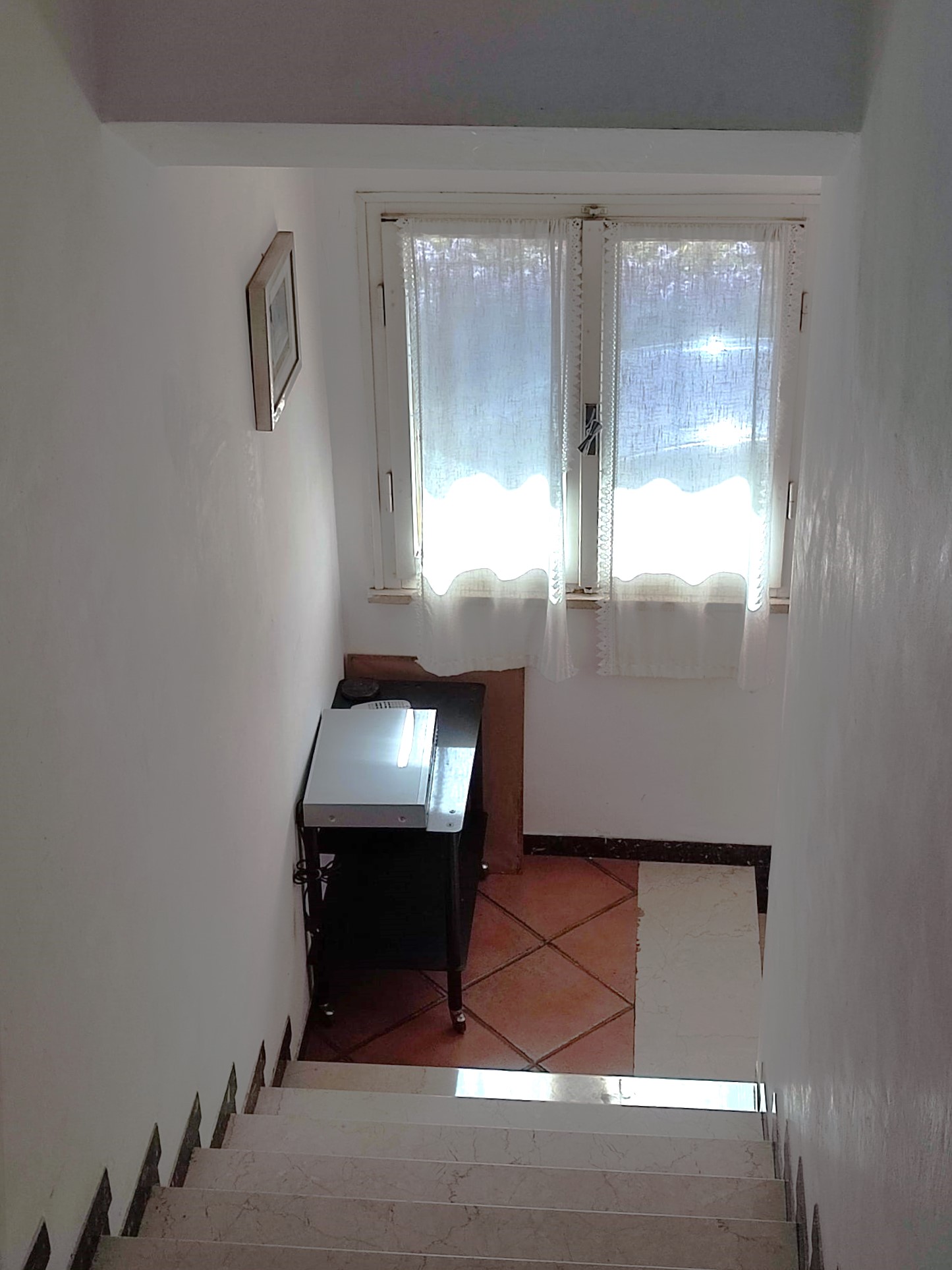 agenzia immobiliare ravenna affitti case vendita
