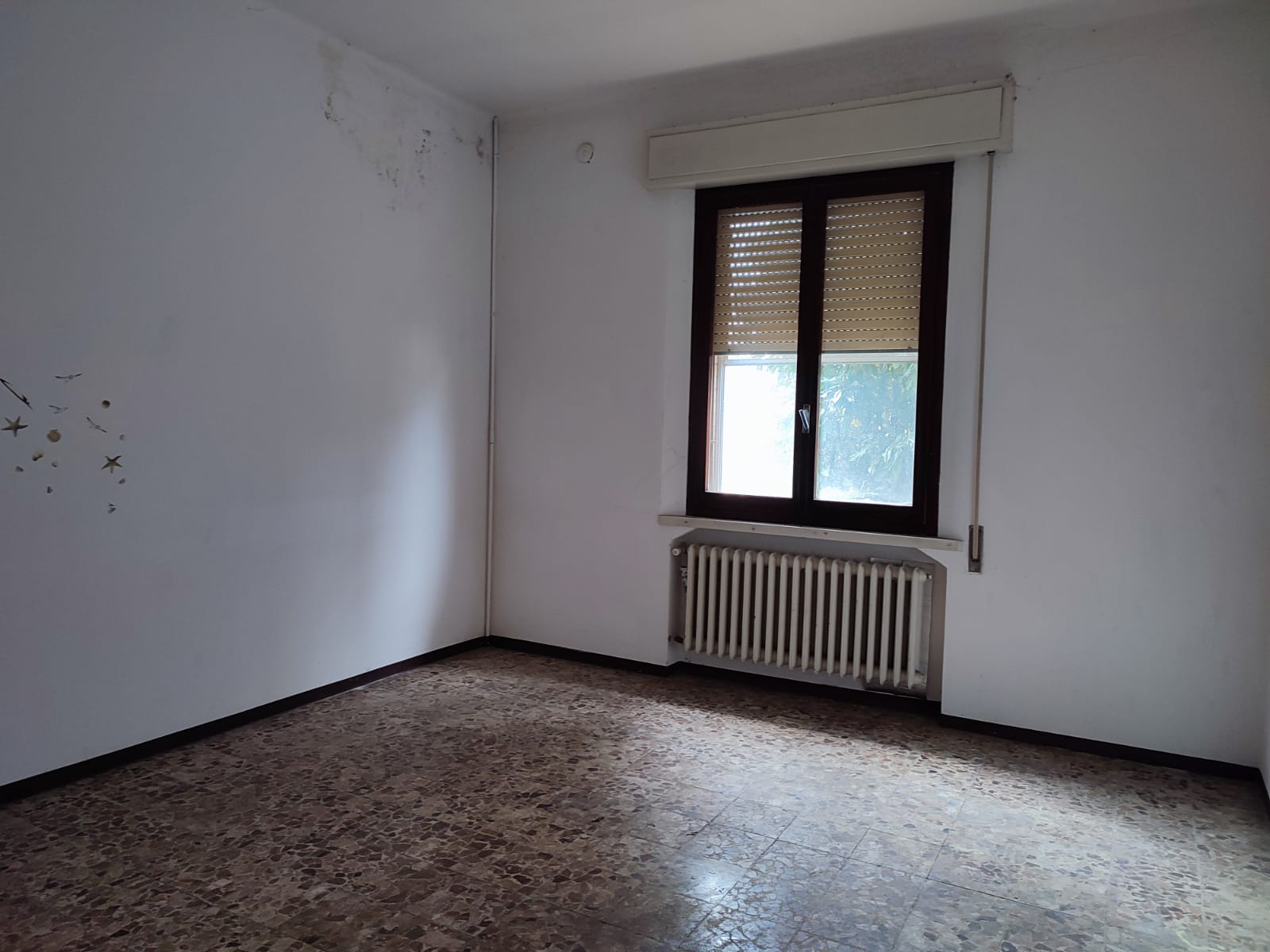 agenzia immobiliare ravenna affitti case vendita
