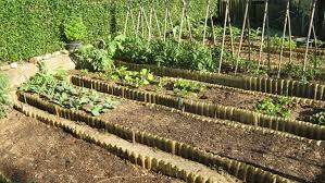 agenzia immobiliare ravenna affitti case vendita