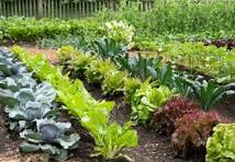 agenzia immobiliare ravenna affitti case vendita